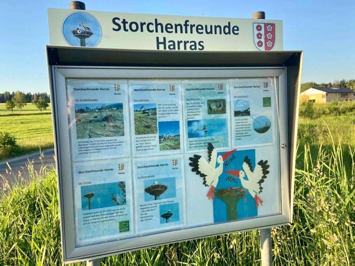 Ferienwohnung Storchennest Eisfeld Exteriör bild